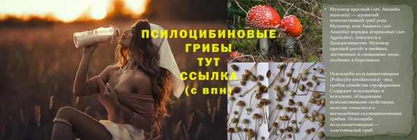 молекула духа Алексеевка