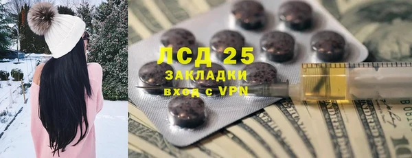 spice Аркадак