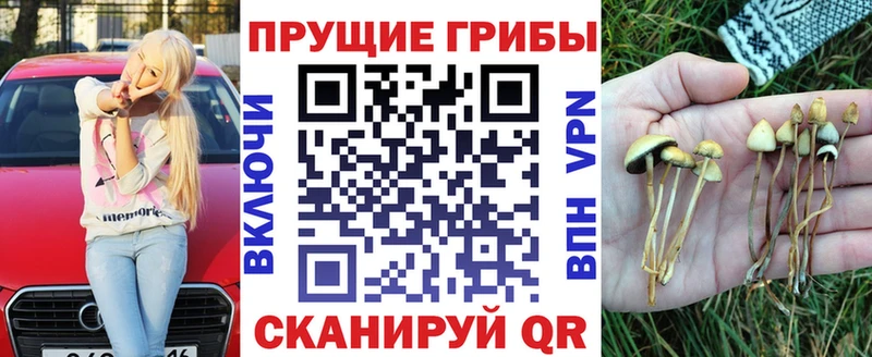 Псилоцибиновые грибы Psilocybe  Артёмовский 
